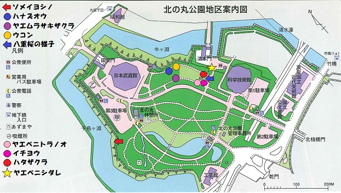 画像：北の丸公園地区案内図