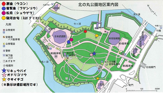 画像：北の丸公園地区案内図