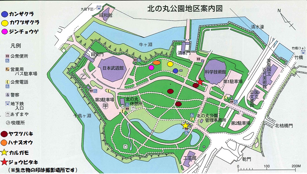 図：北の丸公園地区案内図