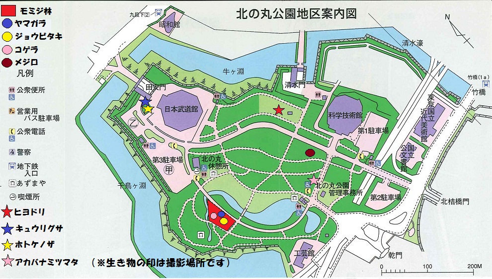 図：北の丸公園地区案内図