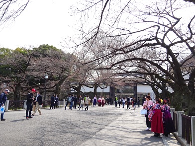 写真：田安門に袴姿の学生