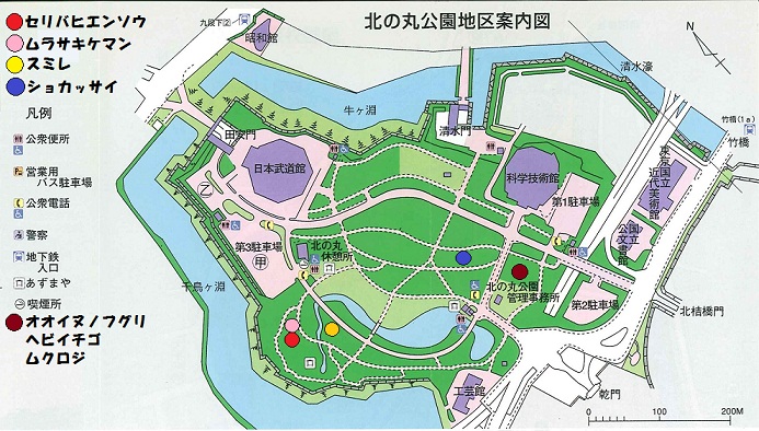 画像：北の丸公園地区案内図