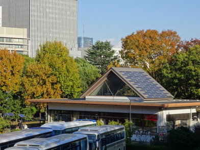 写真：北の丸休憩所周辺