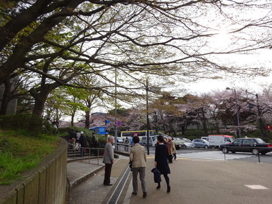 千鳥ヶ淵交差点から公園に入る階段