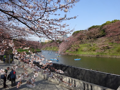 千鳥ヶ淵ボート場