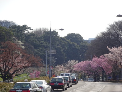 代官町通り