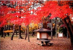 写真：母と子の森