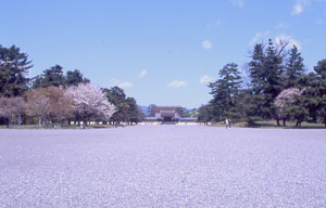 写真:建礼門前大通り