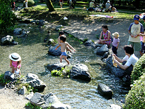 写真：出水の小川