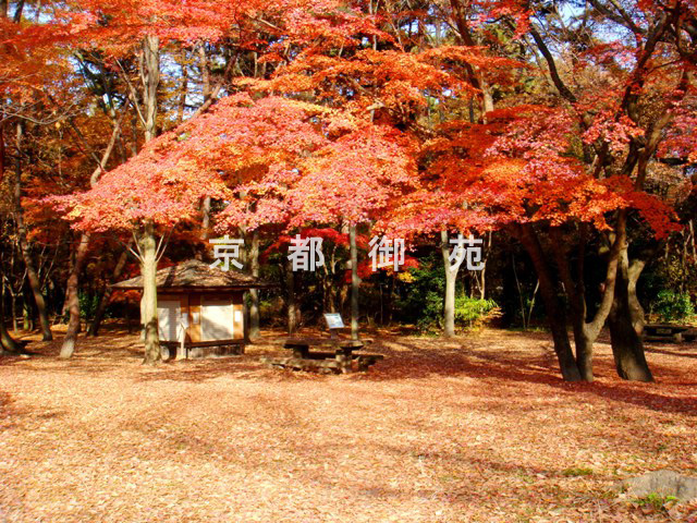 写真：e_23　母と子の森