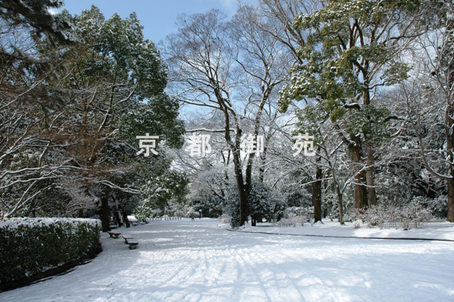 写真：e_26　苑内風景