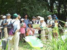 写真：夏の自然教室