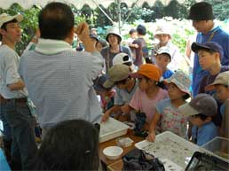 写真：トンボ池自然観察会