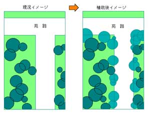 写真：植栽後イメージ1