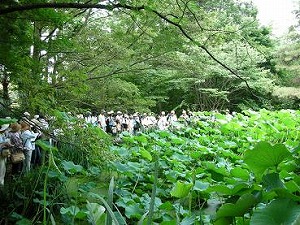 写真：トンボ池観察風景