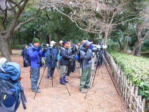 写真:昨年の様子(1一枚目)
