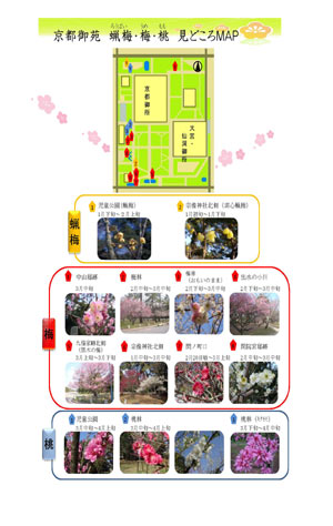 図：蝋梅（ロウバイ）・梅・桃MAP