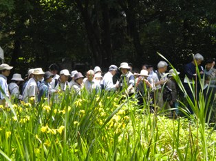 写真：昨年の新緑のトンボ池一般公開の様子