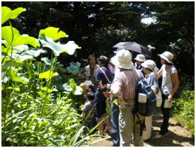 写真：昨年の夏のトンボ池一般公開の様子