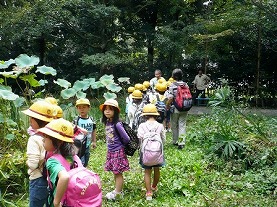 写真：昨年の秋のトンボ池一般公開の様子