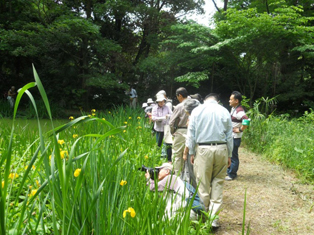 写真：昨年の新緑のトンボ池一般公開の様子