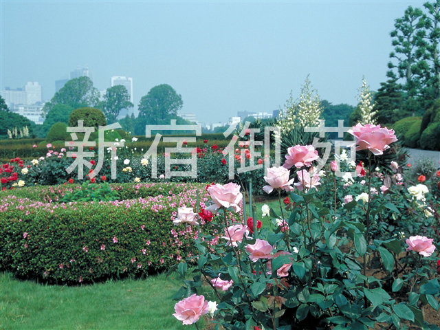 人民公園 (上海)