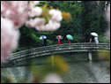 写真：環境大臣賞「春の雨」