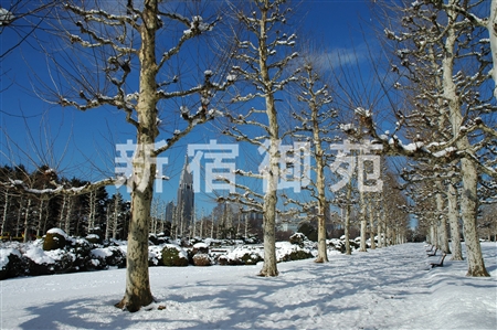 写真：冬風景７