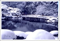 Photo: Shinjuku Gyoen 3