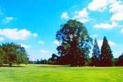 Photo:Shinjuku Gyoen National Garden