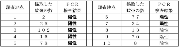 表:調査結果（検査数　４２４匹）（２０日（土）の駆除前の捕獲）