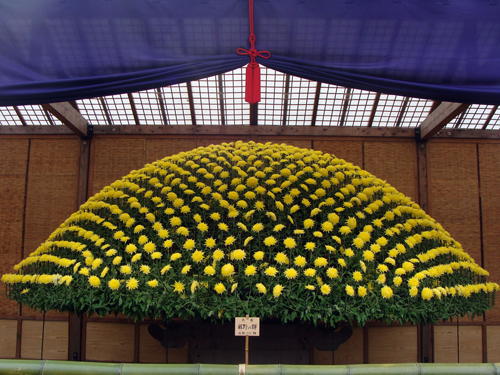 写真：大作り花壇