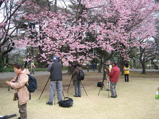 写真：昨年3/17写真教室の開催風景