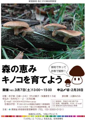 写真:森の恵み キノコを育てよう