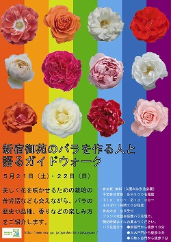 写真：新宿御苑のバラを作る人と語るガイドウォーク