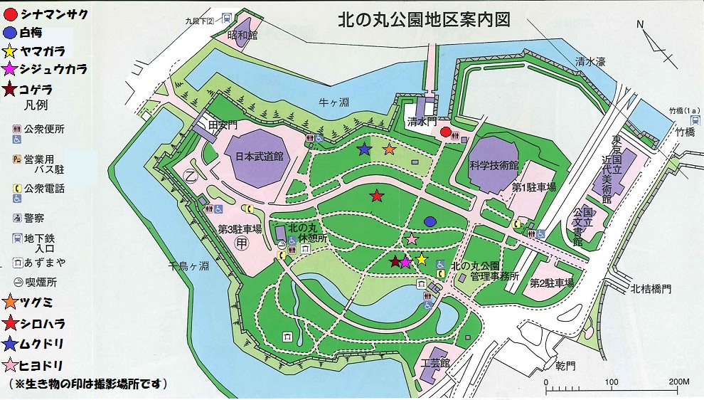 図：北の丸公園地区案内図