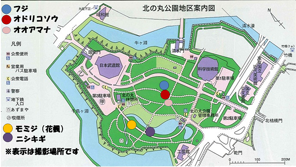 画像：北の丸公園地区案内図