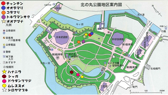 画像：北の丸公園地区案内図