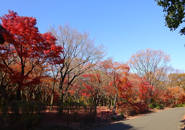 写真：西大通り