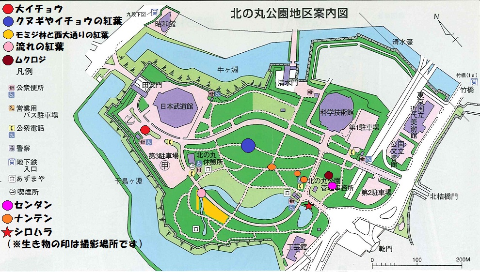 図：北の丸公園地区案内図