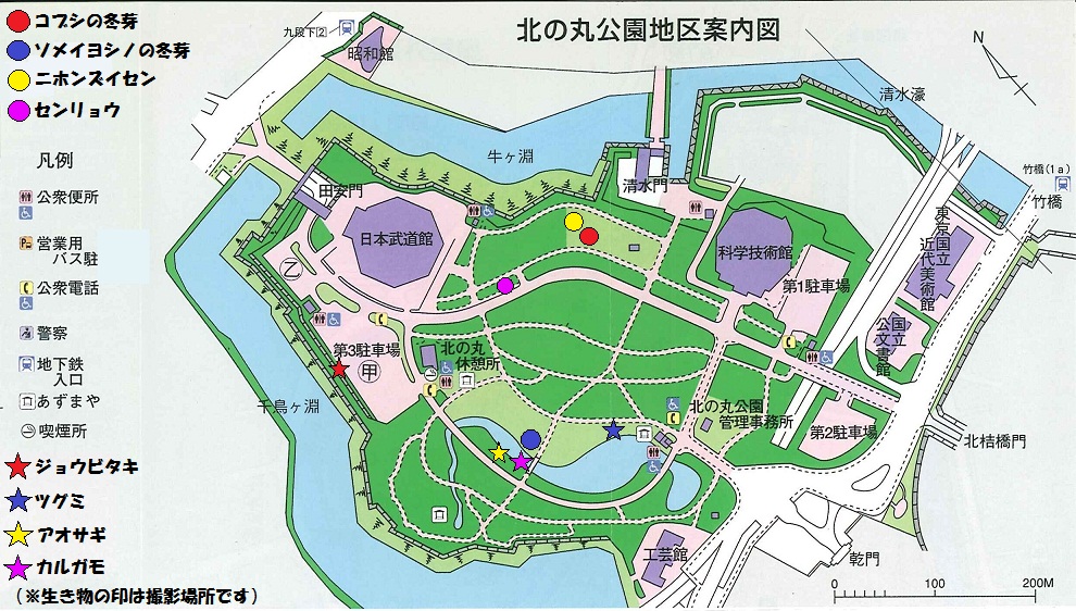 図：北の丸公園地区案内図