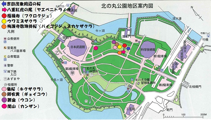 画像：北の丸公園地区案内図