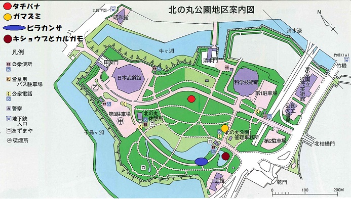 図：北の丸公園地区案内図