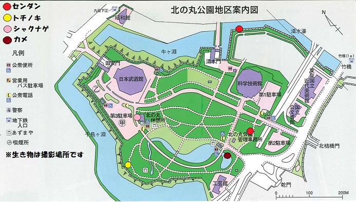 図：北の丸公園地区案内図