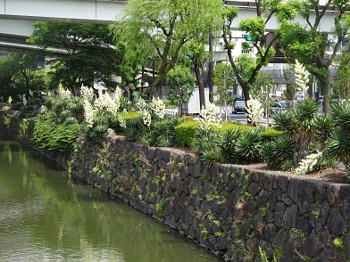 写真：清水濠まちかど庭園