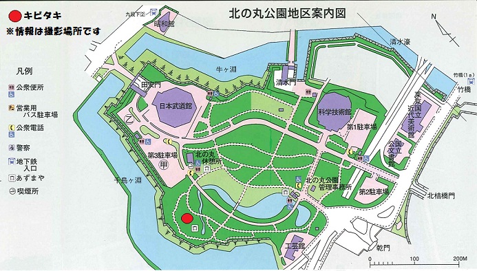 図：北の丸公園地区案内図