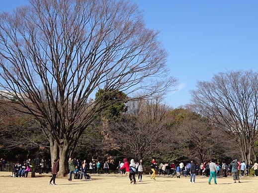 写真：賑わう芝生広場