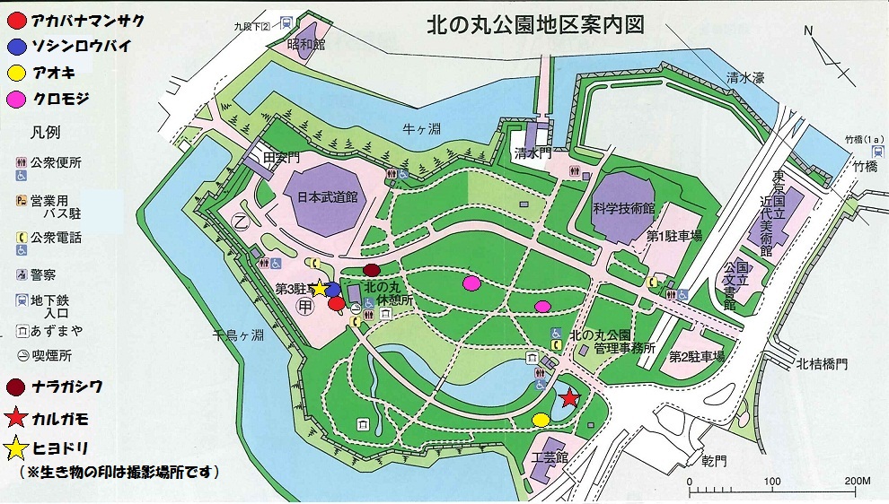 図：北の丸公園地区案内図