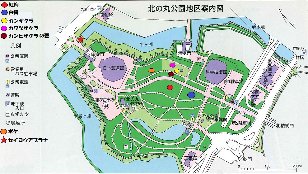 図：北の丸公園地区案内図