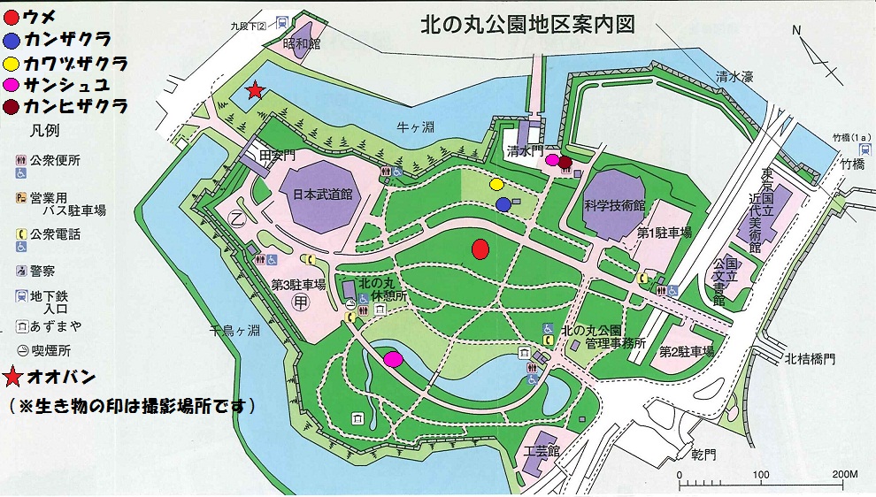 図：北の丸公園地区案内図